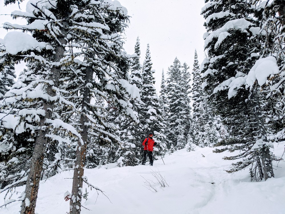 Alpine skier in fresh powder